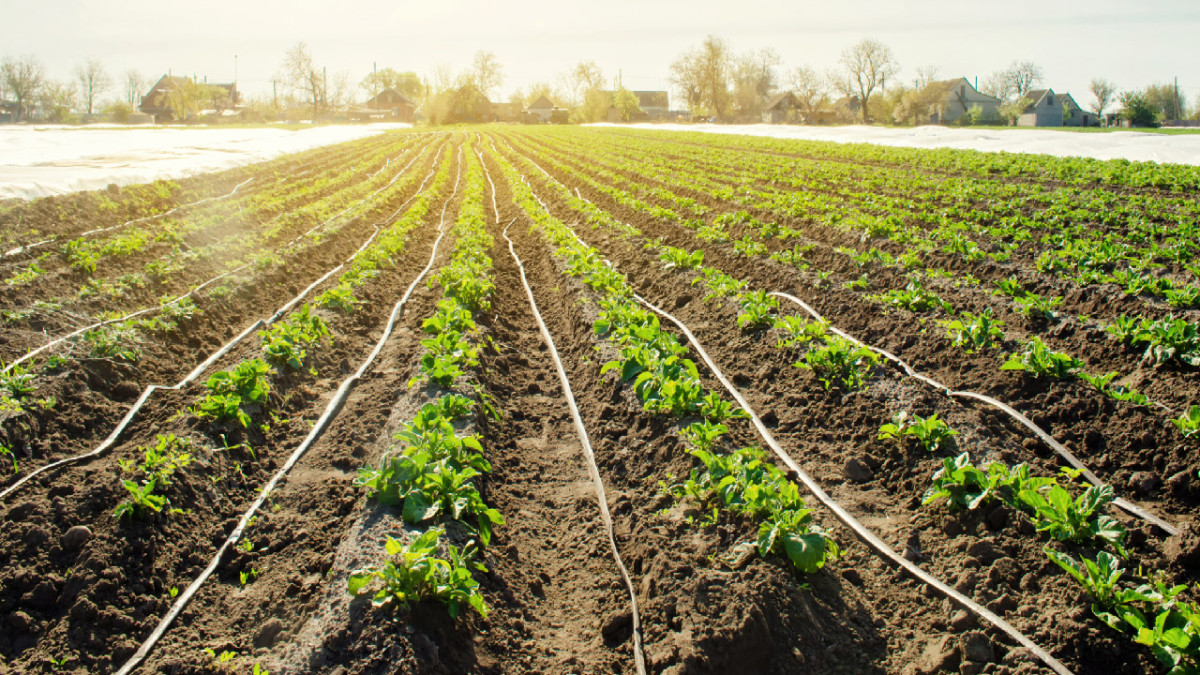 irrigation-types.jpg irrigation-types.jpg