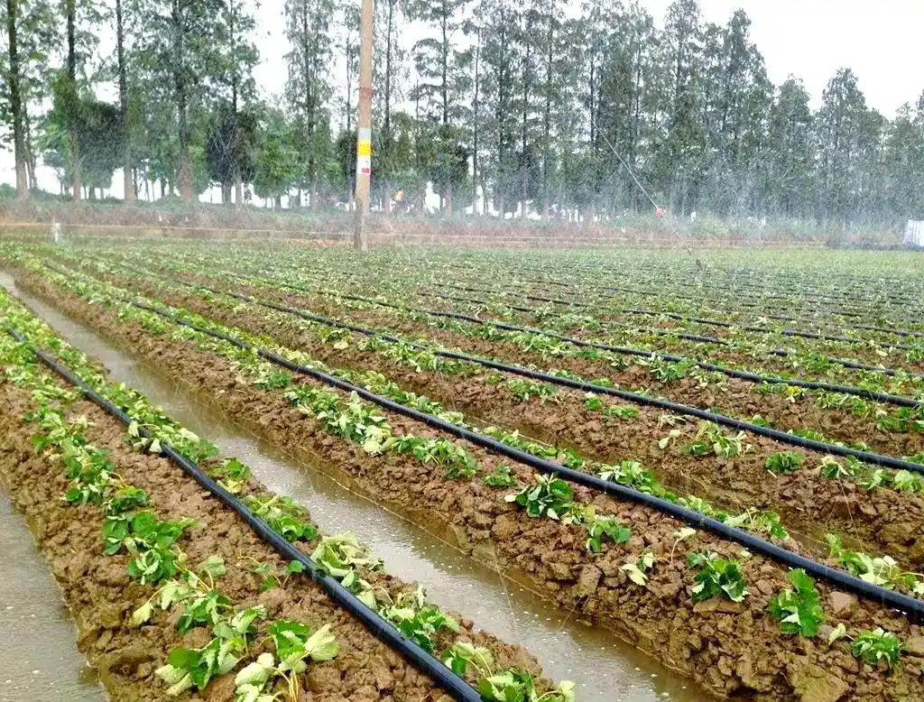 أرض عطشانة؟ عوائد منخفضة؟ تكاليف عالية؟ هذا أرض عطشانة؟ عوائد منخفضة؟ تكاليف عالية؟ هذا