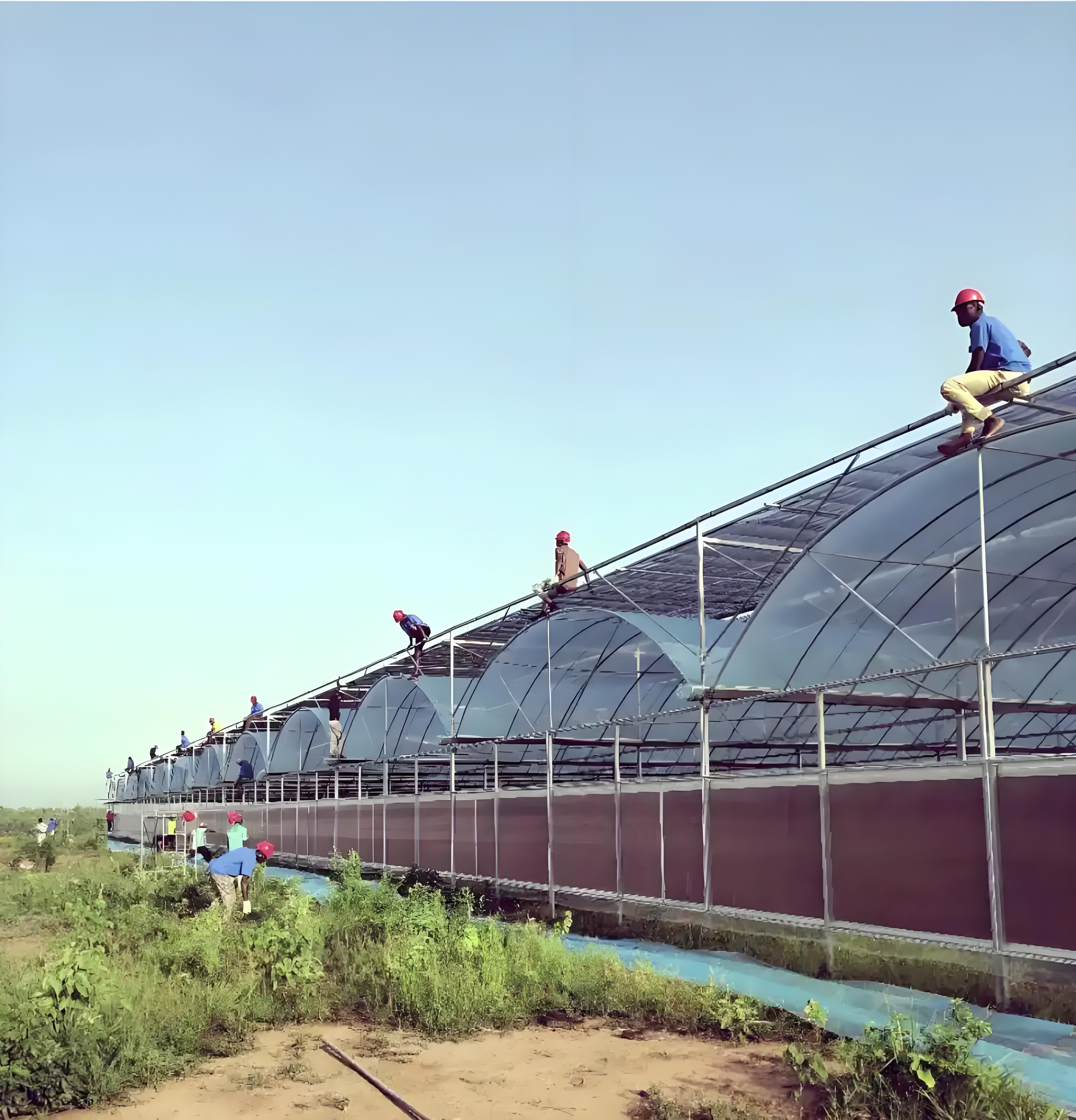 الري بالتنقيط: حل غانا الاستراتيجي لمكافحة الجفاف وتصاعد تكاليف الغذاء في غانا الري بالتنقيط: حل غانا الاستراتيجي لمكافحة الجفاف وتصاعد تكاليف الغذاء في غانا