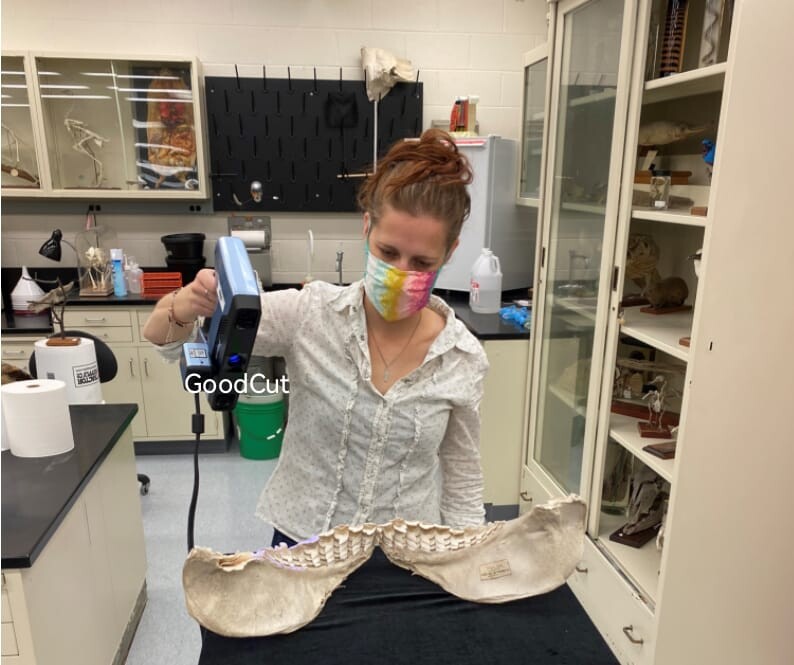  Einscan Pro 2x 2020 3d  ماسح ضوئي 