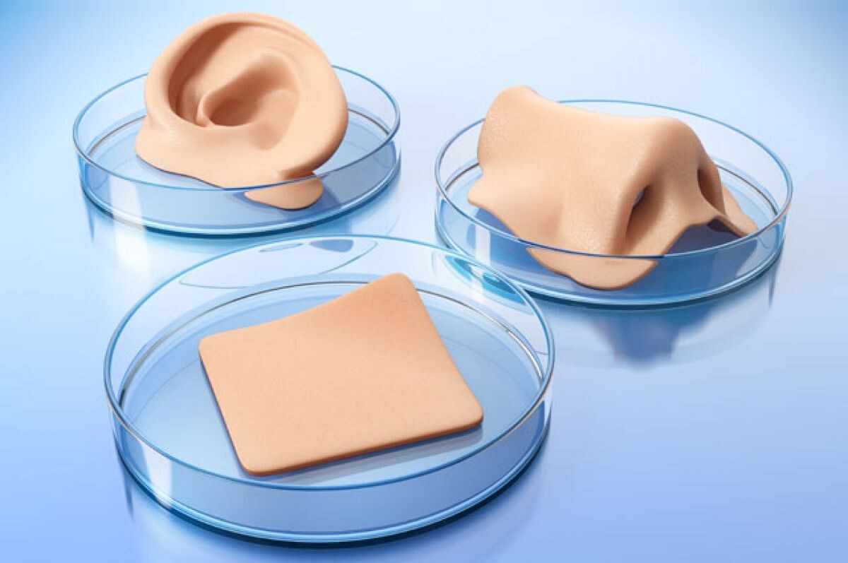 الجلد الاصطناعي الجلد الاصطناعي