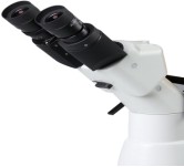 image.png 1770535557879023599578066944.png