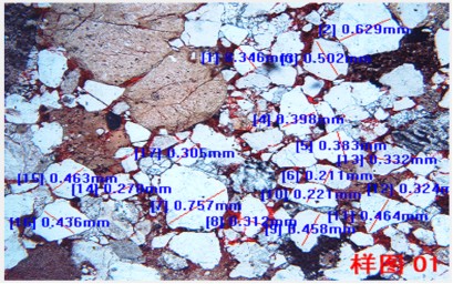 image.png 1770704772879733339727724544.png