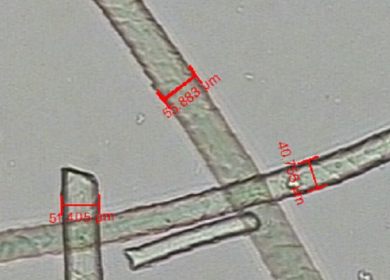 image.png 1773467791891322280261279744.png