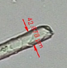 image.png 1773467873891322625578328064.png