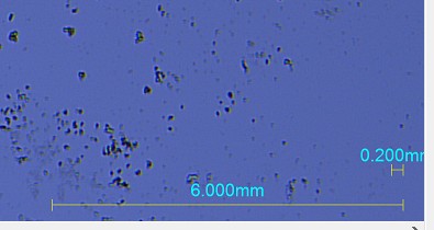 image.png 1773469624891329966398857216.png