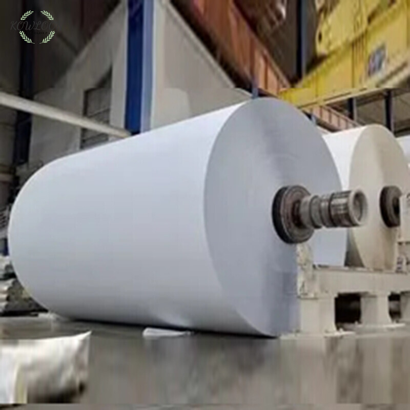 Giant Paper Roll