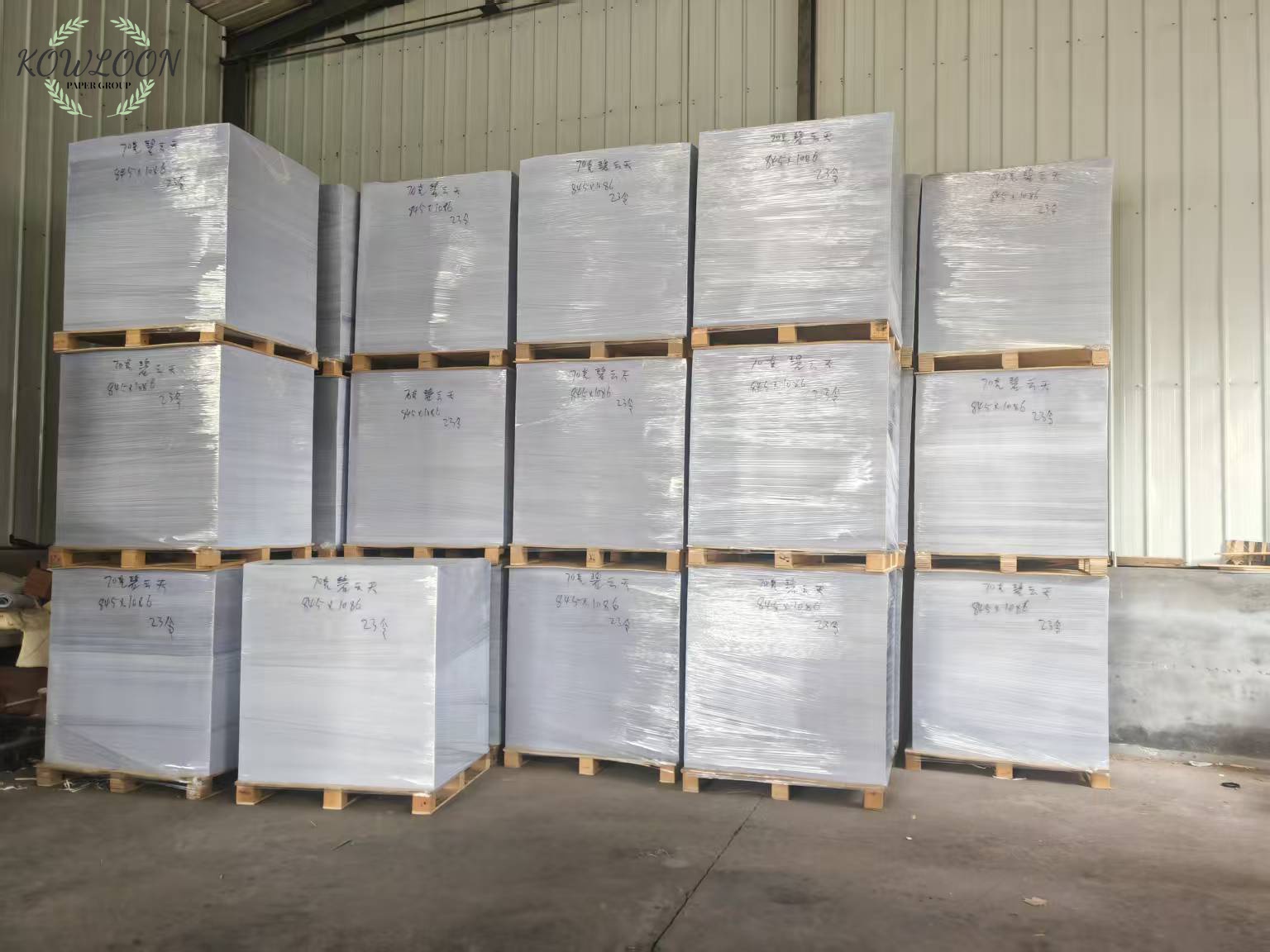 China source factory produces disposable PE single-layer coated flat paper