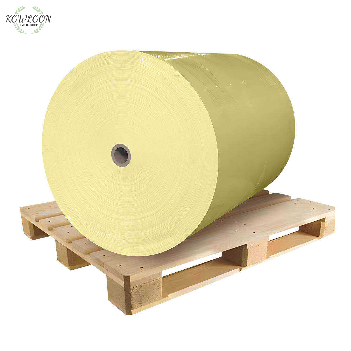 Large Colorful Paper Rolls