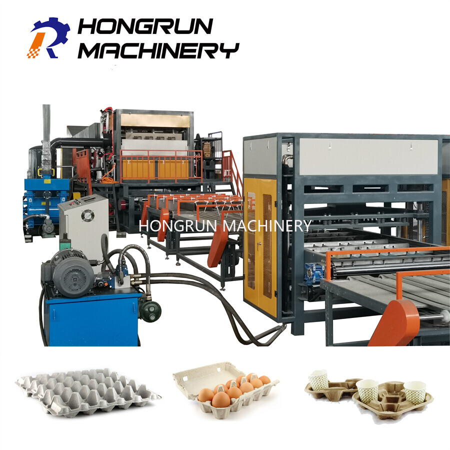 عزز إنتاج صواني البيض لديك بأفضل ممارسات الصيانة