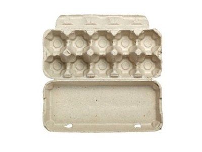 10-خلايا البيض CARTON@1x.jpg