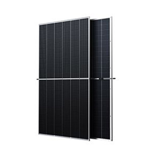 Trina Solar Vertex 585W TSM-DE19R