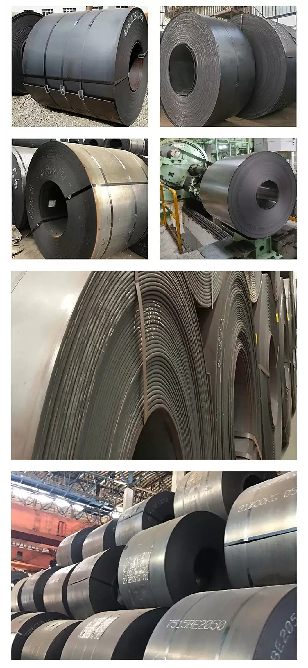 36.jpg.png 36.jpg.png