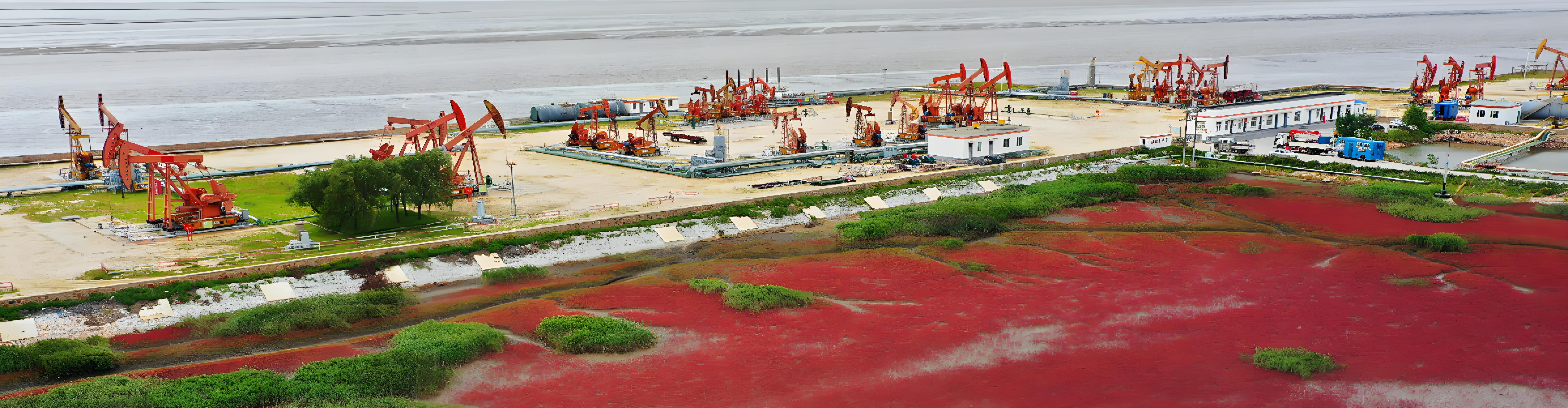 6c671ad29f8fe194eb3ef221dc74e941