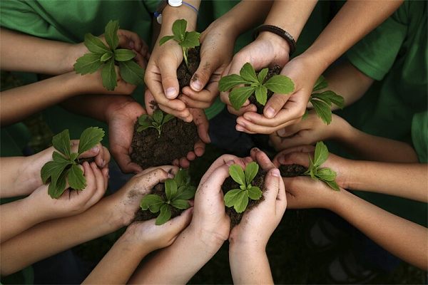 بناء النظام البيئي المتعلق بـ Amico