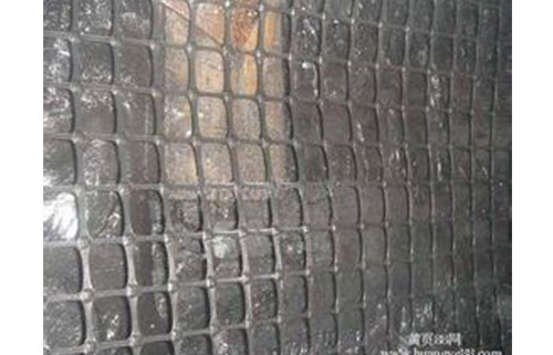 煤矿井下用塑料肋条防护网