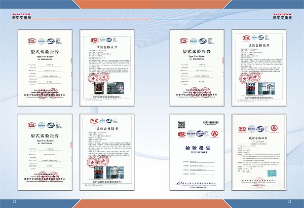 تقرير الفحص (3)