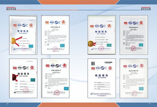 تقرير الفحص (5)