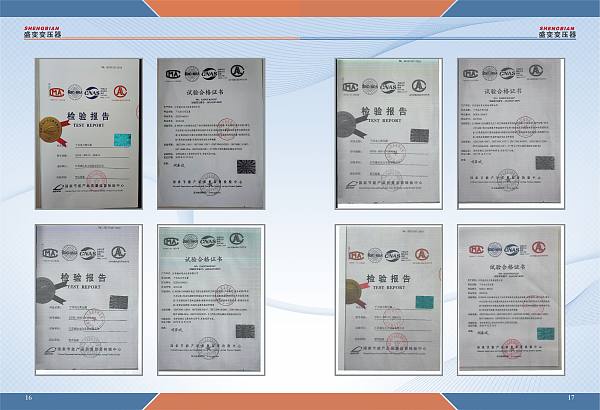 تقرير الفحص (6)