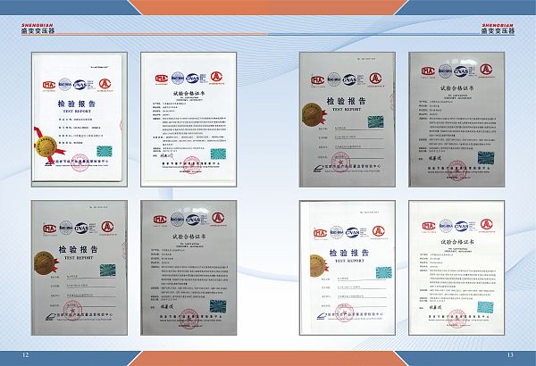 تقرير الفحص (8)