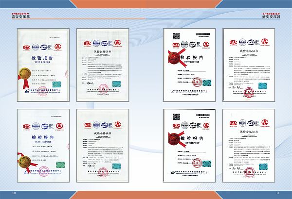 تقرير الفحص