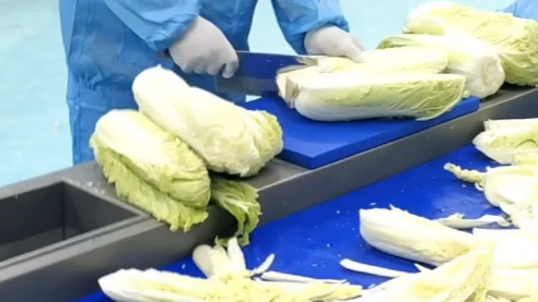 5 مواصفات أساسية يجب مقارنتها في قواطع الخضروات متعددة الوظائف