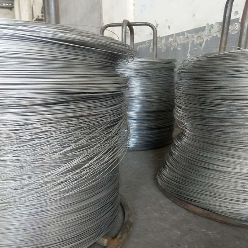 Stainless Steel Wire