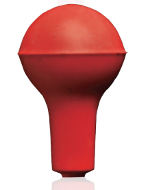 بصلة الماصة