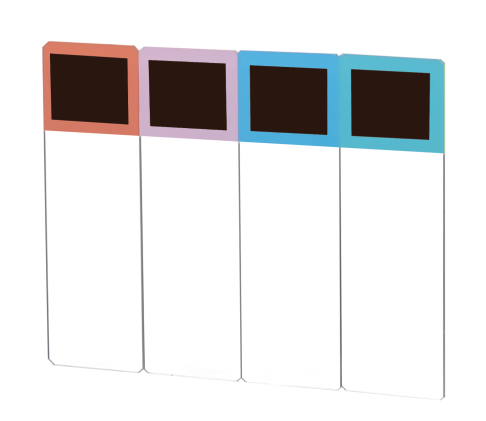 شرائح المجهر ColorInxTM