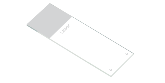 شرائح المجهر الحساسة للضوء