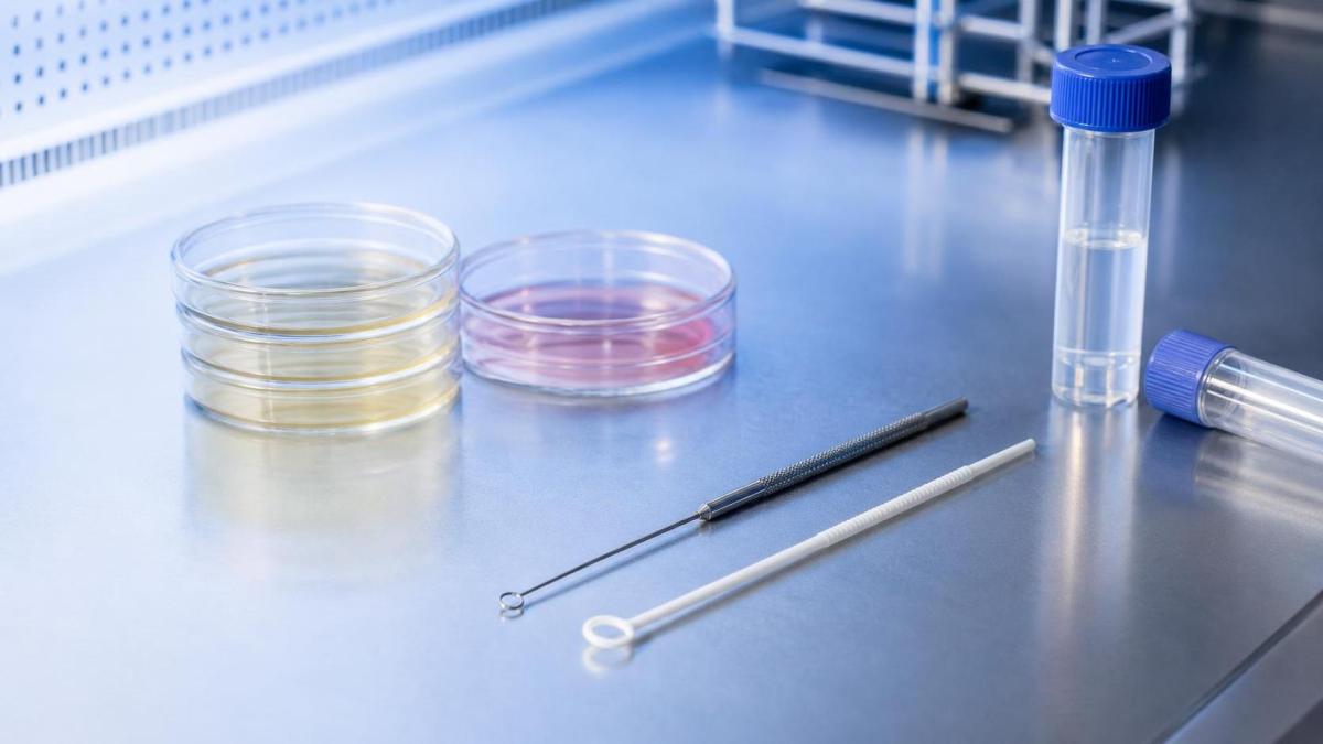Sterile Inoculating Loop Selection: Disposable vs Reusable for Lab Workflows Sterile Inoculating Loop Selection: Disposable vs Reusable for Lab Workflows