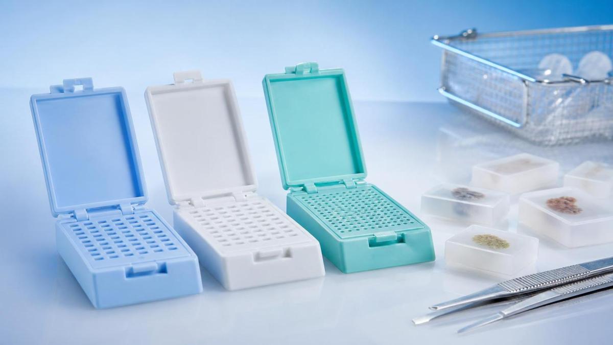 Embedding Cassette Material Differences: When PP, POM, or Biopsy Types Matter Embedding Cassette Material Differences: When PP, POM, or Biopsy Types Matter
