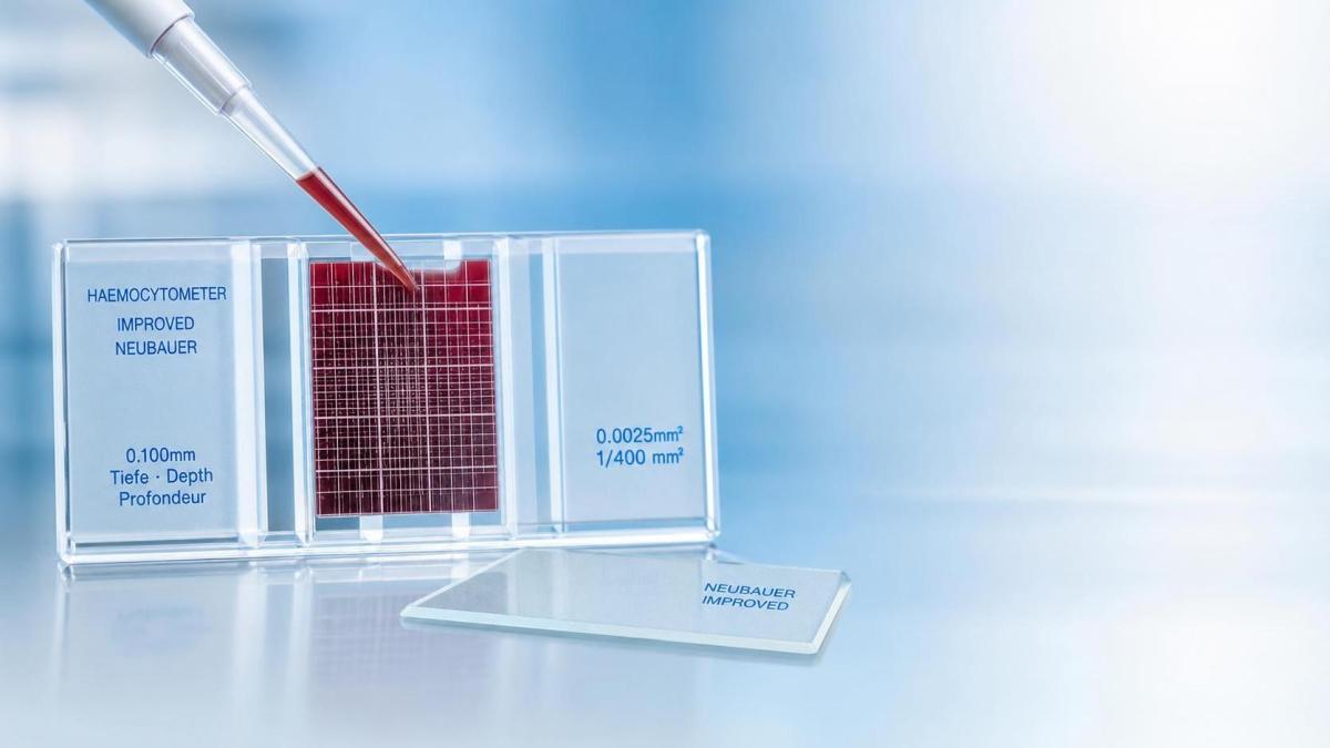 Hemacytometers for Blood Cell Counting: Accuracy Factors Users Often Overlook