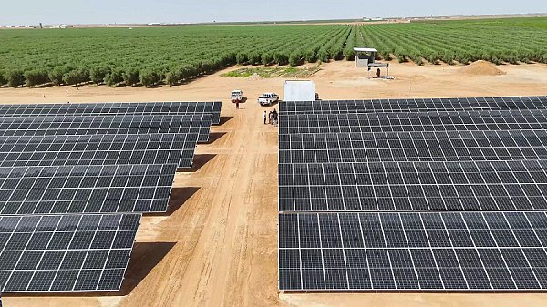 Saudi Arabia 12.538MW Farmland Distributed Photovoltaic Project