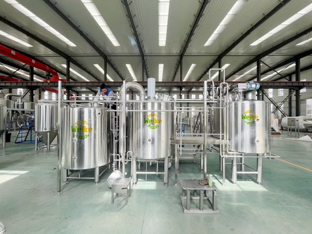 500L معدات تخمير البيرة الصغيرة