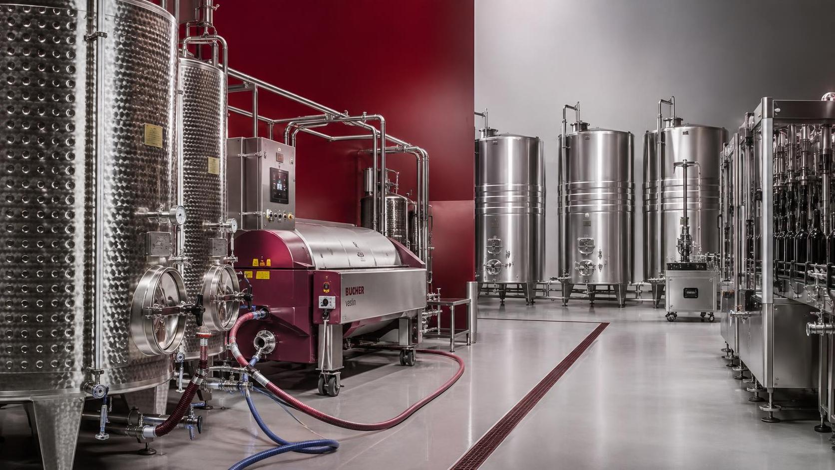 What equipment do I need to start a small winery?