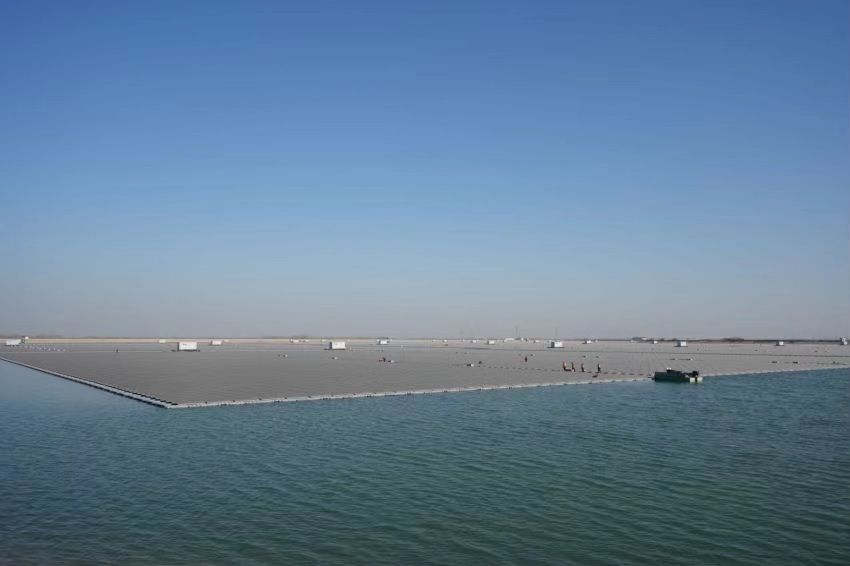 Liaocheng 202MW Reservoir Photovoltaic Power Station Project